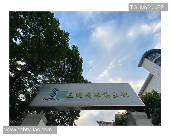 杭州网球队运营策略深度分析与市场发展前景探讨