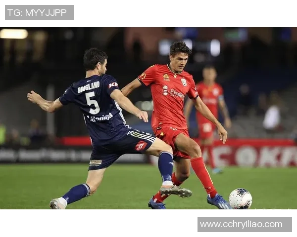 武汉羽毛球队盯防战术解析及其在比赛中的应用探讨