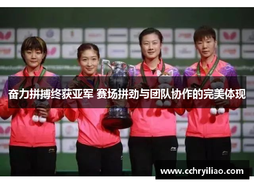 奋力拼搏终获亚军 赛场拼劲与团队协作的完美体现