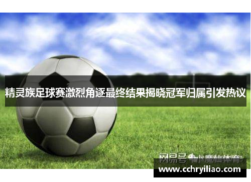 精灵族足球赛激烈角逐最终结果揭晓冠军归属引发热议